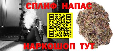 эйфоретик Гусев