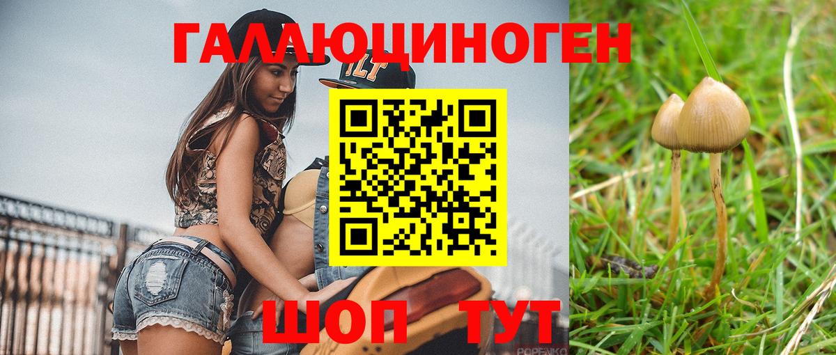 Галлюциногенные грибы Psilocybe Мариинск